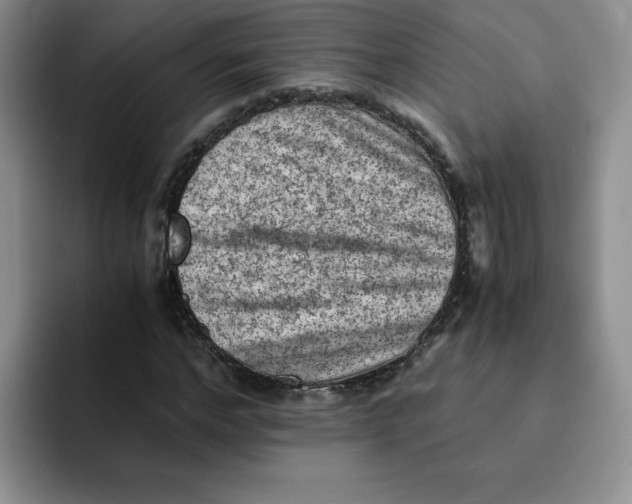 X0000091650968200709201123