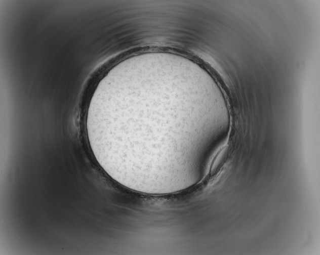 X0000091650971200709201123