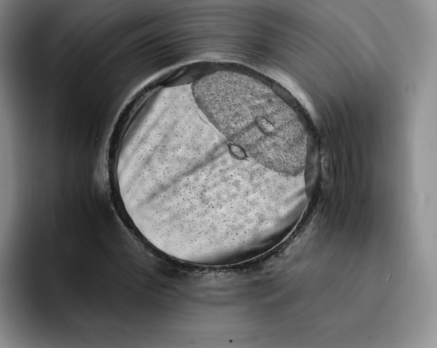 X0000091650972200709201123