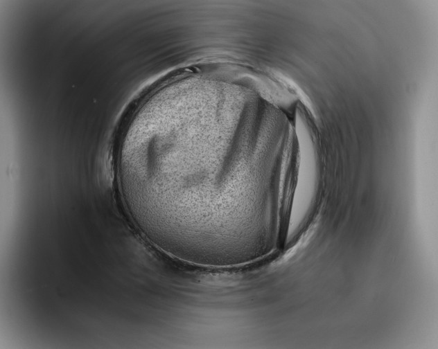 X0000091650973200709201123