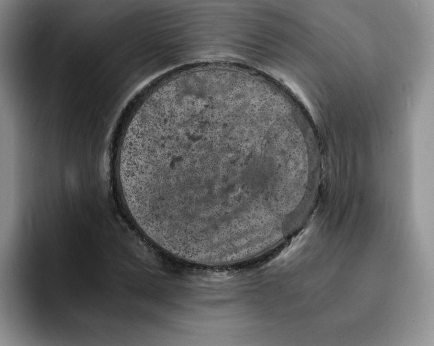 X0000091650975200709201123