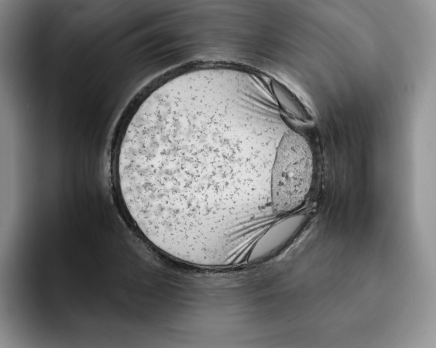 X0000091650976200709201123