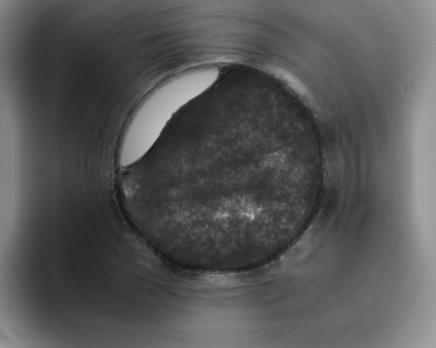 X0000091650977200709201123