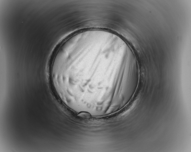 X0000091650981200709201123