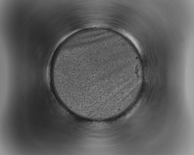 X0000091650983200709201123