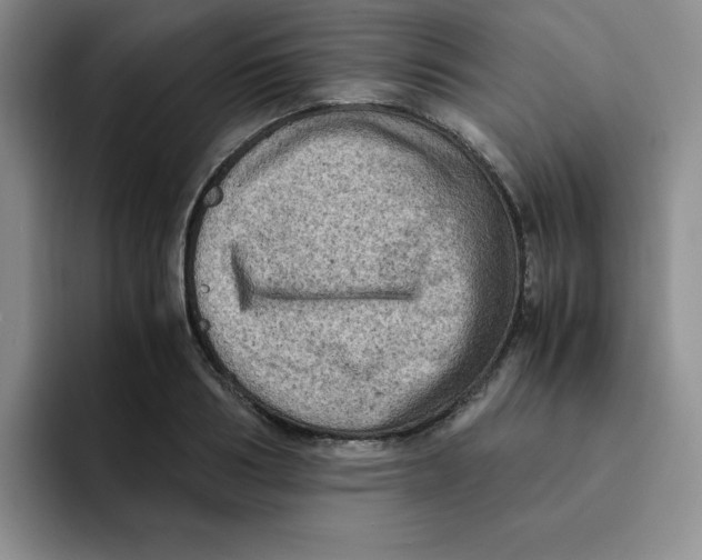 X0000091650986200709201123