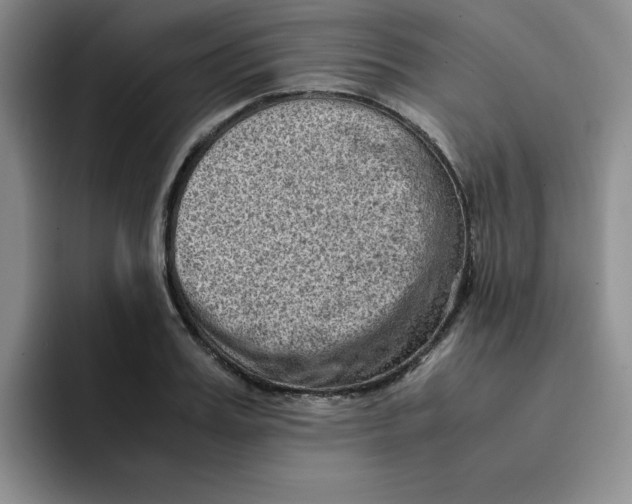 X0000091650987200709201123