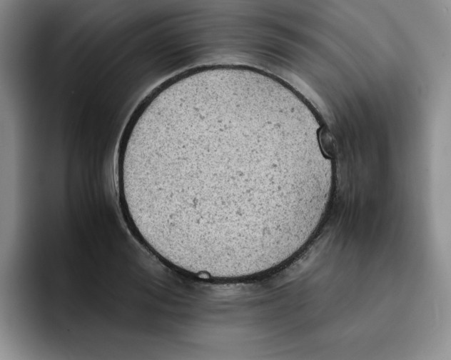 X0000091650988200709201123