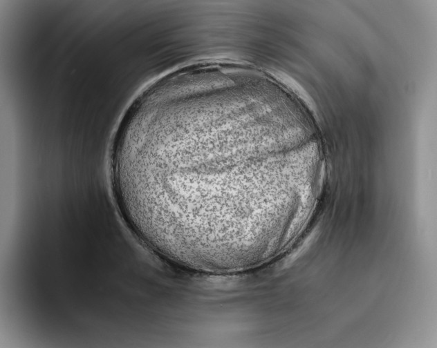 X0000091650989200709201123