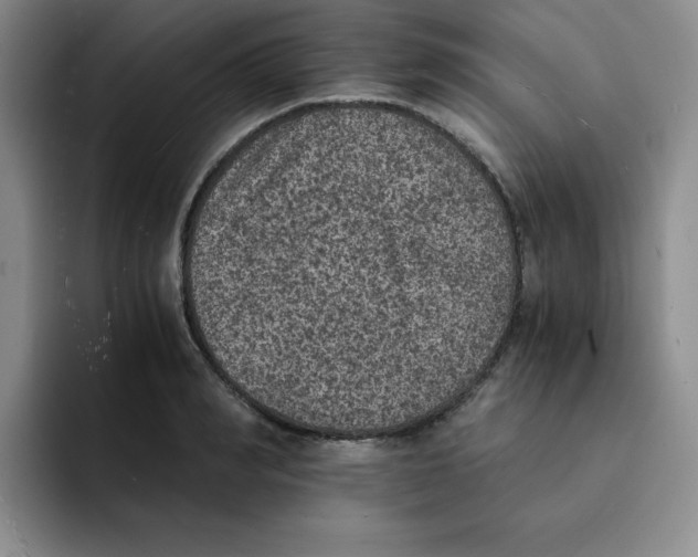 X0000091650990200709201123