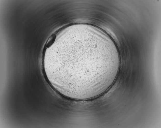 X0000091650992200709201123