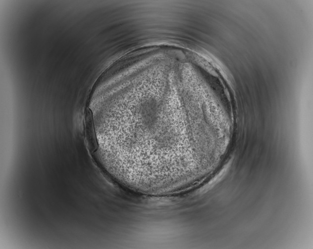 X0000091650993200709201123