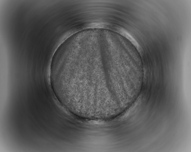 X0000091650994200709201123