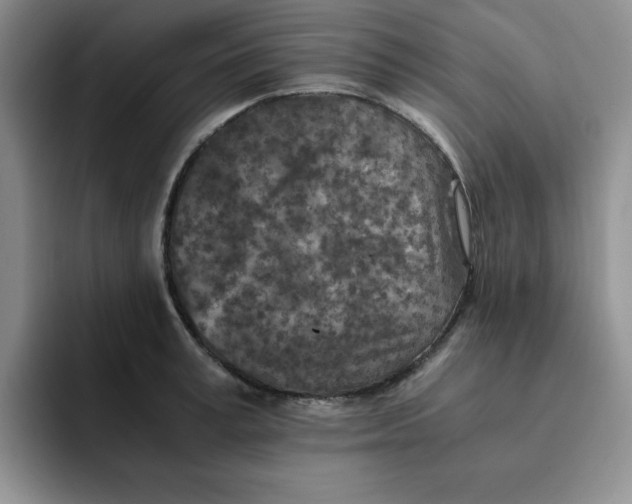 X0000091650995200709201123