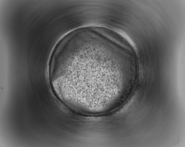 X0000091650996200709201123