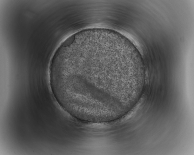 X0000091650998200709201123