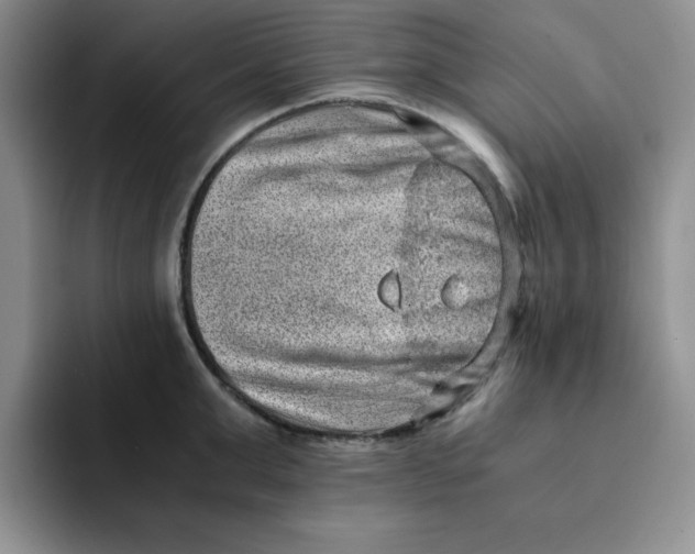 X0000091650999200709201123