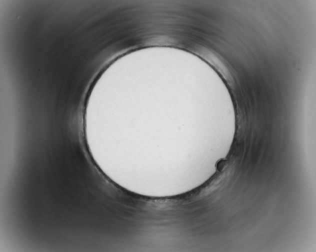 X0000091651000200709201123