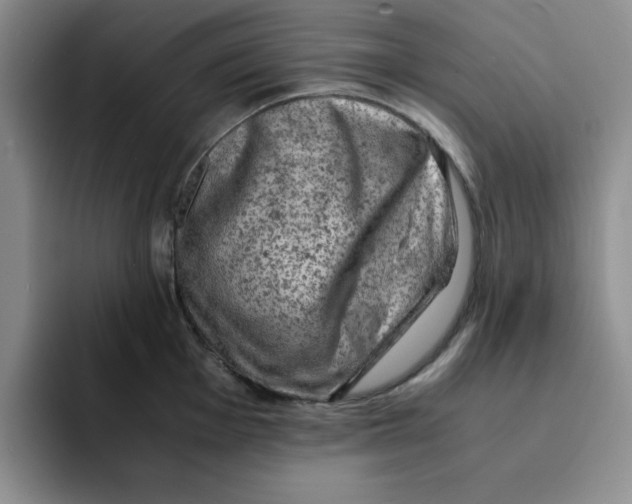 X0000091651001200709201123