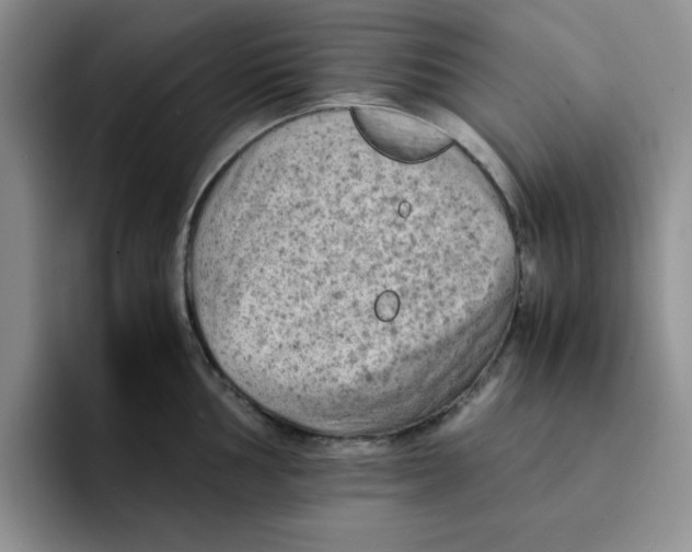 X0000091651002200709201123