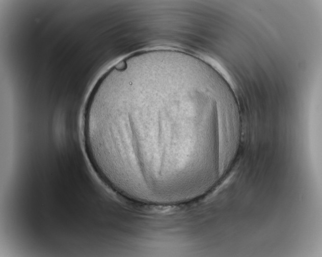 X0000091651003200709201123