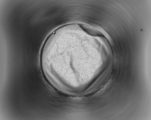 X0000091651004200709201123