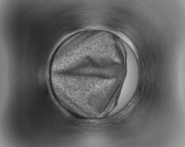 X0000091651005200709201123