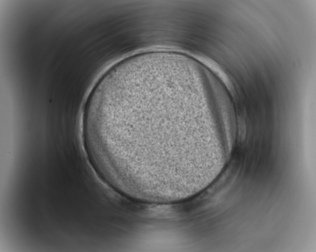 X0000091651006200709201123