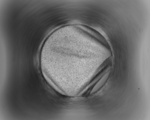 X0000091651008200709201123