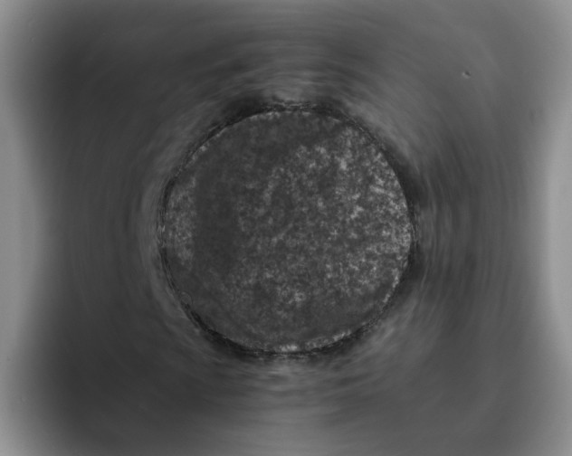 X0000091651009200709201122