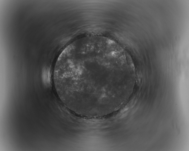 X0000091651010200709201122