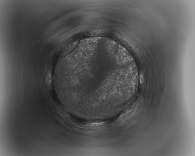 X0000091651011200709201122