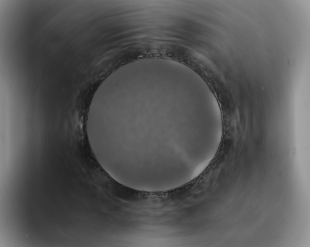 X0000091651013200709201122