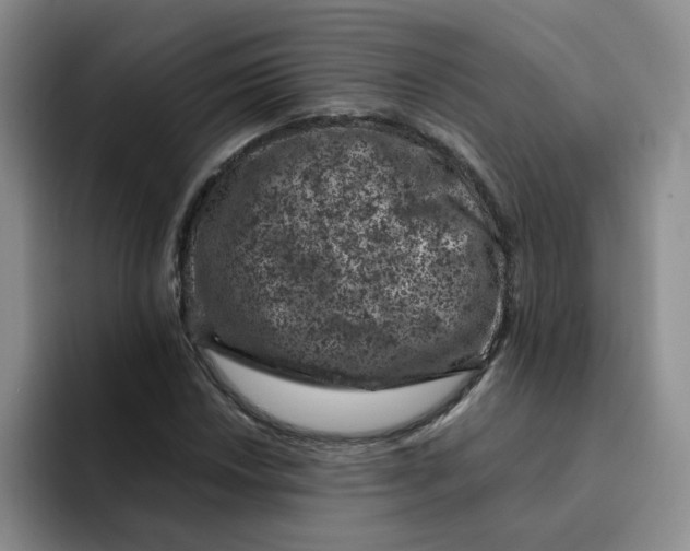 X0000091651018200709201122