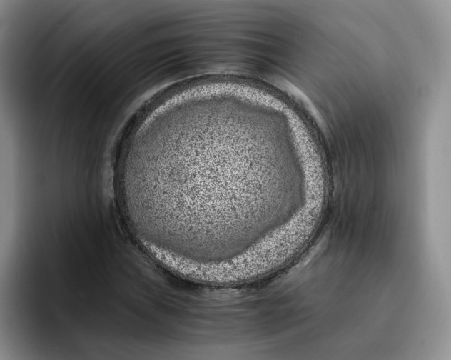 X0000091651019200709201122