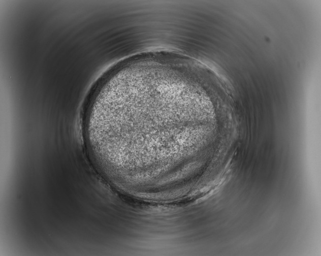 X0000091651022200709201122