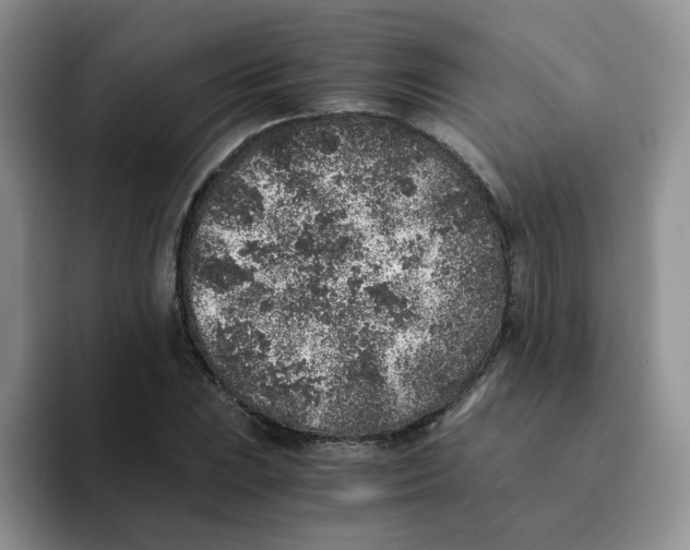 X0000091651023200709201122