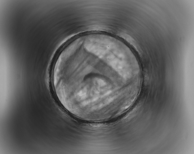 X0000091651024200709201122