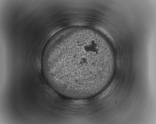 X0000091651025200709201122