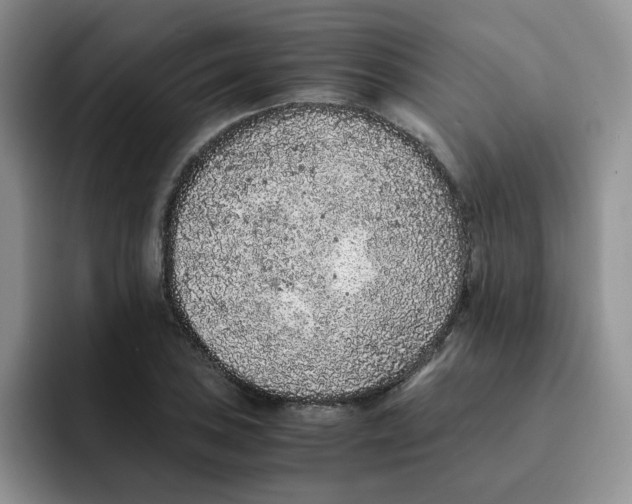 X0000091651027200709201122