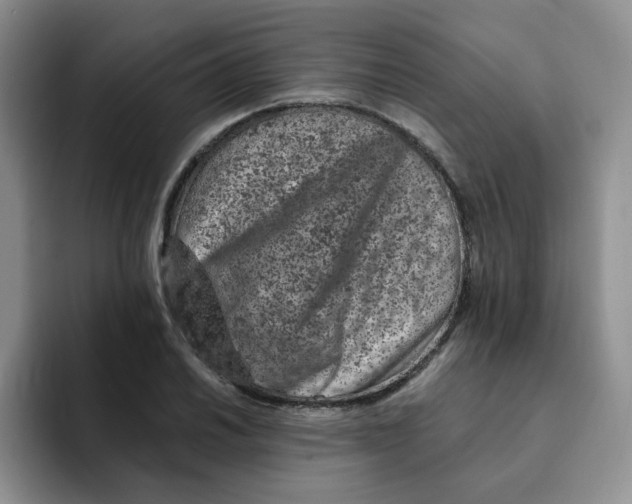 X0000091651030200709201122