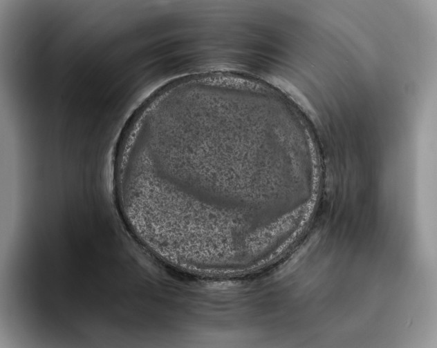 X0000091651031200709201122