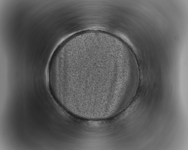 X0000091651032200709201122