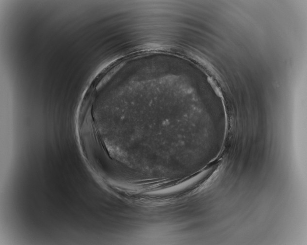 X0000091651034200709201122