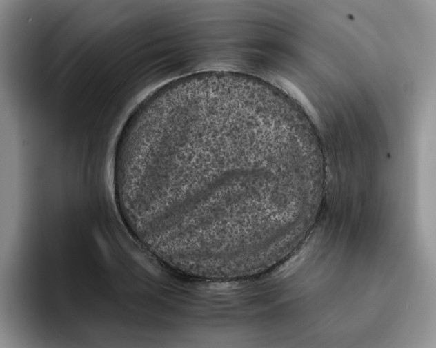 X0000091651035200709201122