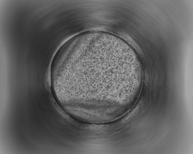 X0000091651036200709201122