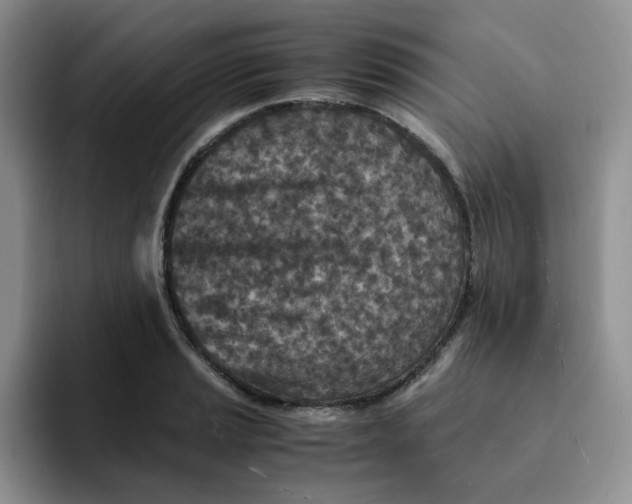 X0000091651037200709201122