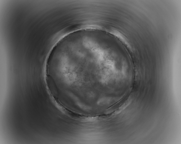 X0000091651038200709201122