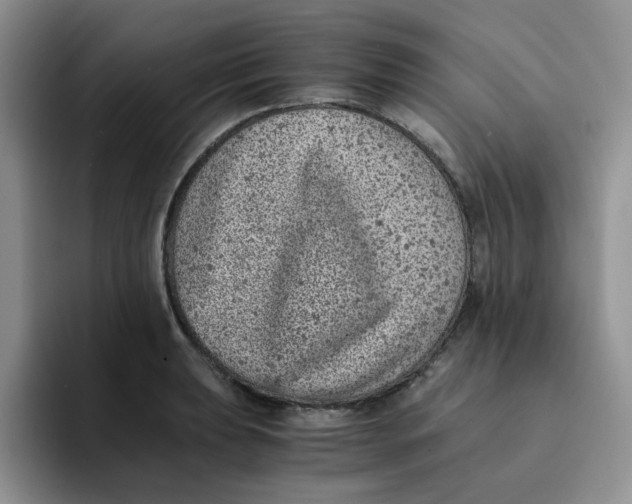 X0000091651039200709201122