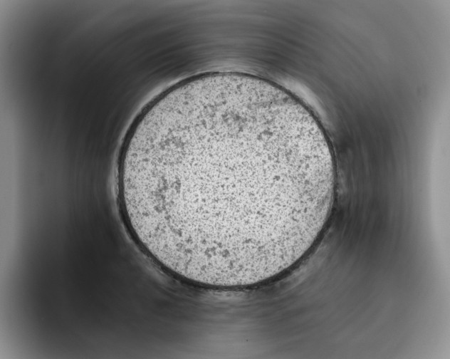 X0000091651040200709201122